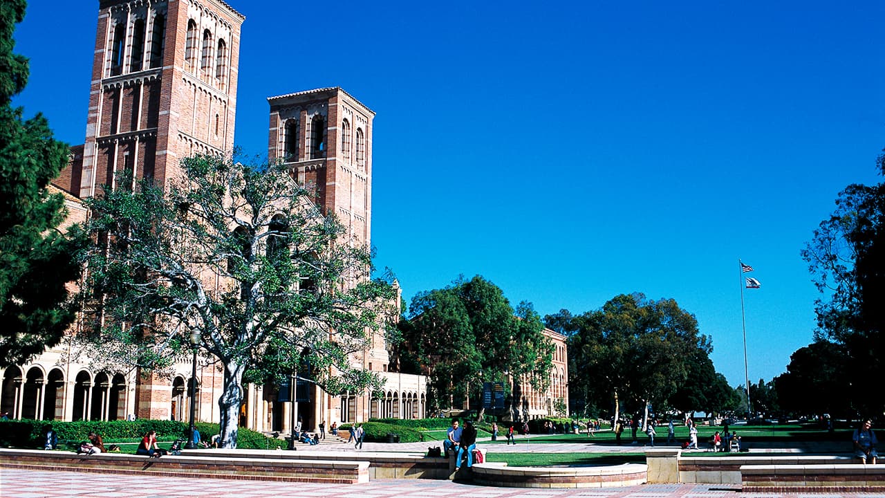 トップスクールプログラム Nic International College In Japan