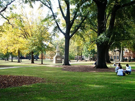 サウスカロライナ大学