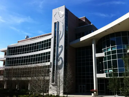 サウスフロリダ大学 アメリカの大学への進学 留学 Nic International College In Japan サウスフロリダ大学 アメリカの大学への進学 留学 Nic International College In Japan