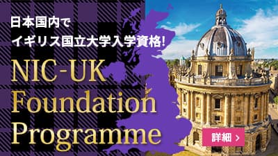 NIC-UK Foundation Programme