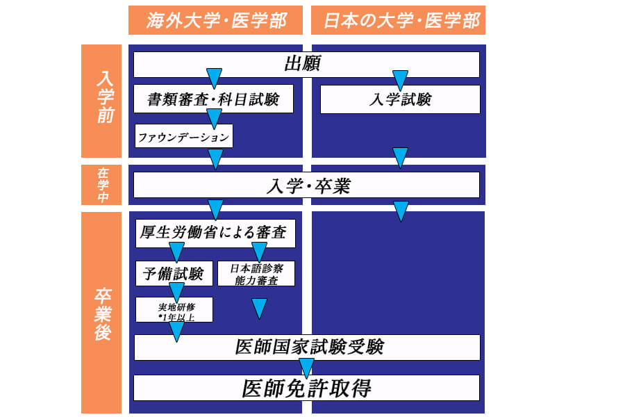 海外医学部 ヨーロッパの大学で医師になる 日本 世界一貫教育の Nic 大学留学ブログ By Nic