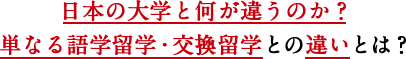 日本の大学と何が違うのか？単なる語学留学・交換留学との違いとは？