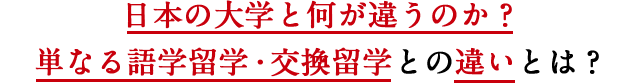 日本の大学と何が違うのか？単なる語学留学・交換留学との違いとは？